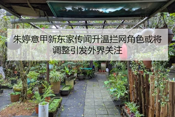 朱婷意甲新东家传闻升温拦网角色或将调整引发外界关注